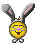 [bunny]