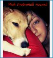 Люблю его Люблю его