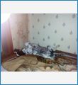 спим спим