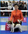 Россия2012 Россия2012