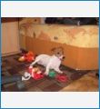 Наша Рийка Наша Рийка