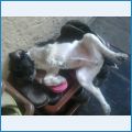 так мы отдыхаем) так мы отдыхаем)
