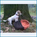 Радость Наша Барри Би Радость Наша Барри Би