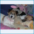 Rea Son Bayond Rare Rags Puma & JR Miss Mandy Rags Puma Rea Son Bayond Rare Rags Puma & JR Miss Mandy Rags Puma