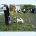 Выставка в Дальнегорске Выставка в Дальнегорске