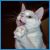 cats_119.jpg