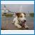 DSC00288.JPG