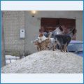 На охране родной кучи щебня На охране родной кучи щебня