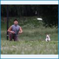Наши любимые Расселы Наши любимые Расселы