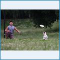 Наши любимые Расселы Наши любимые Расселы