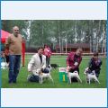 Лучший питомник