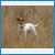 DSCF415555.JPG