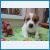y_ea7630f8.jpg