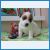 y_aa212836.jpg