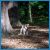 � ����