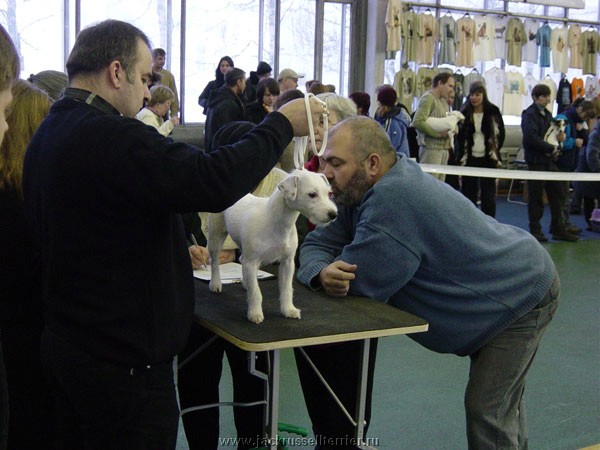 Кроуни Лив Бланш Кроуни Лив Бланш