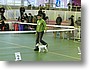 17 -   