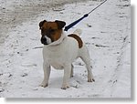 ROKKU OF NEWBIGGIN